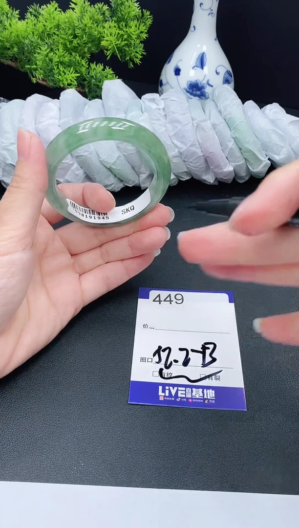 未镶嵌手镯翡翠449