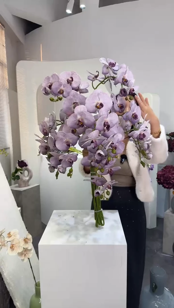 【闪购商品】藤4支香芋紫蝴蝶兰