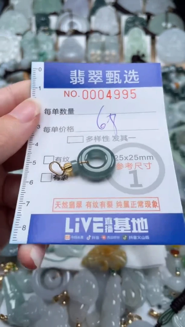翡翠未镶嵌颈饰00..4995
