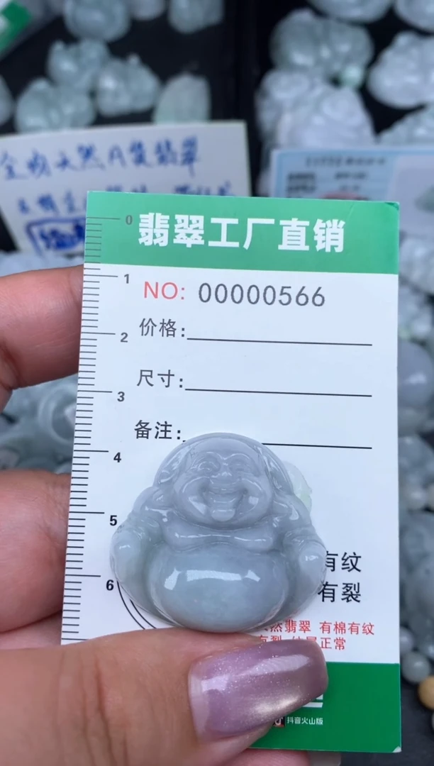 翡翠未镶嵌颈饰缅甸天然A货翡翠0566