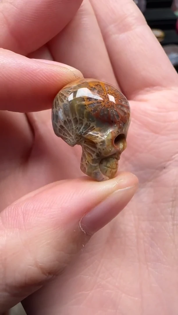 颈饰未镶嵌硅化珊瑚（珊瑚玉）817