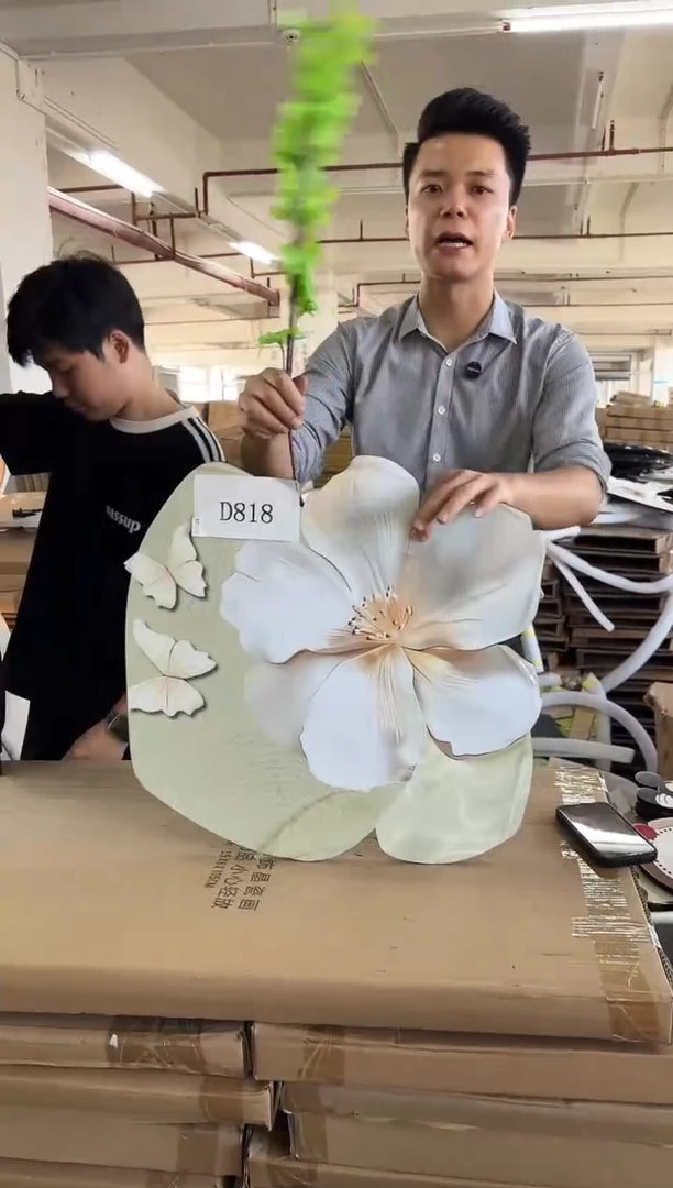 横款孤品果果微瑕闪购D818