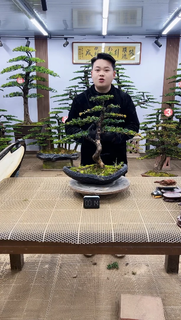 【闪购商品】00000000000