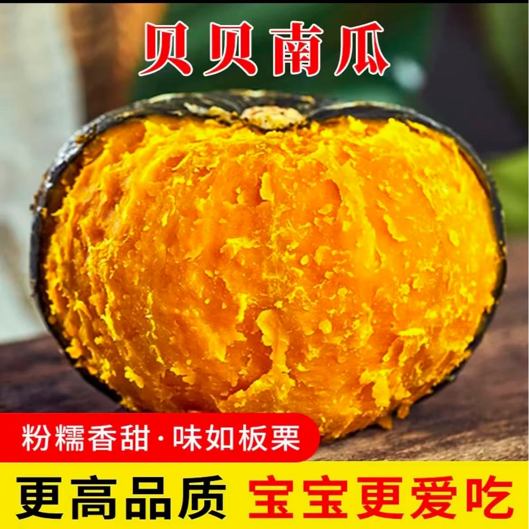 【富土】正宗贝贝南瓜粉糯香甜板栗味沙地贝贝南瓜坏果包赔