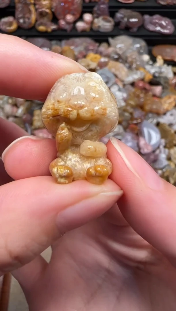 颈饰未镶嵌硅化珊瑚（珊瑚玉）307