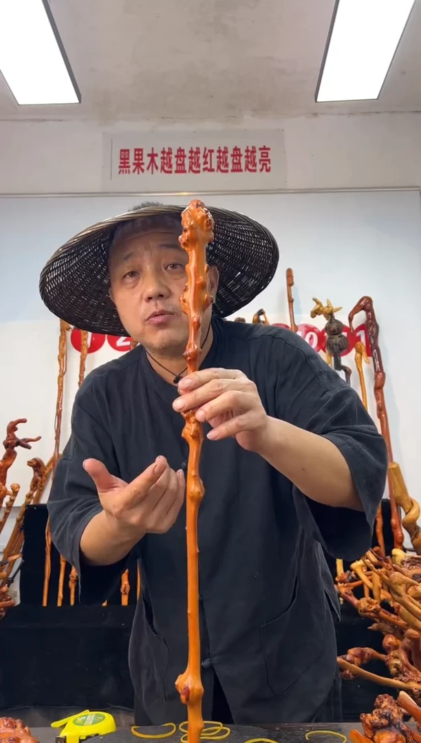 黑果木其他黑果木571