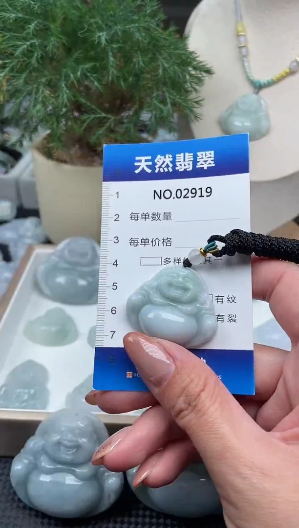 颈饰未镶嵌翡翠纯天然A货翡翠2919