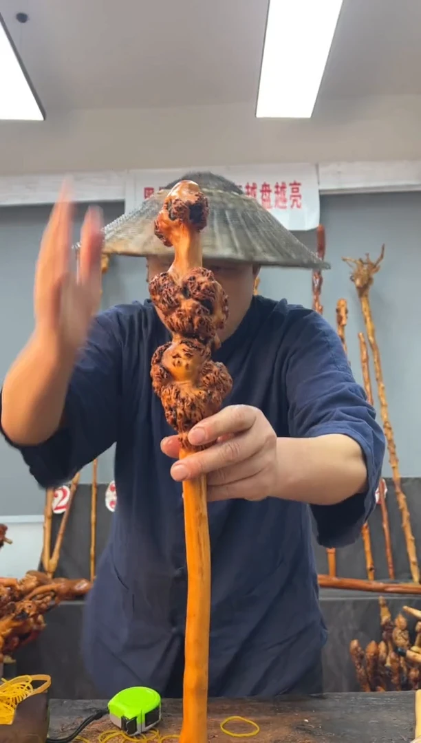 【闪购商品】黑果木其他黑果木038