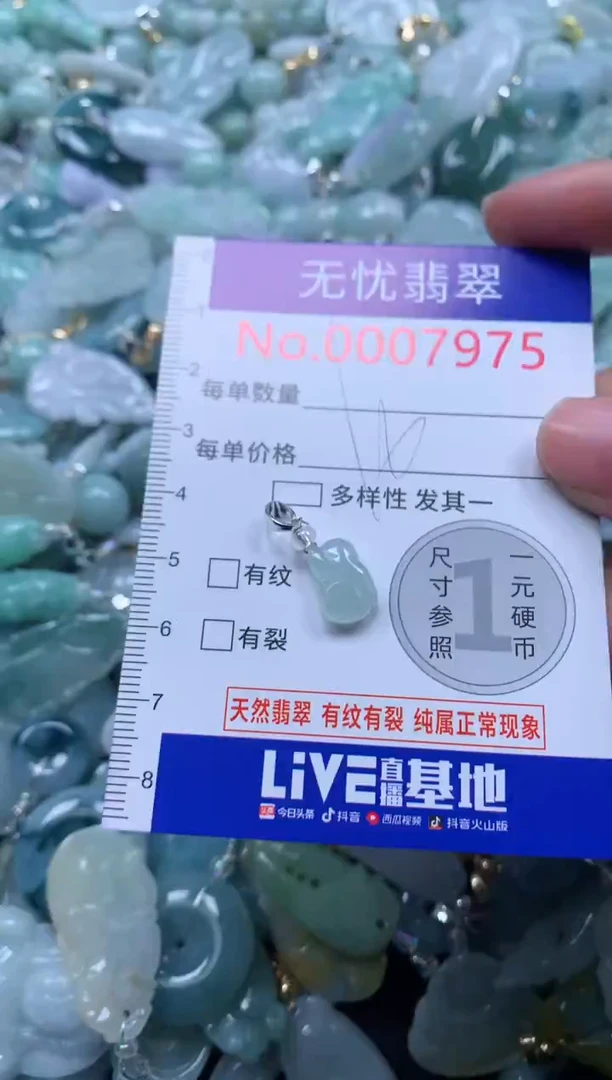 颈饰未镶嵌翡翠7975