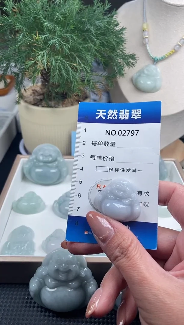 颈饰未镶嵌翡翠纯天然A货翡翠2797