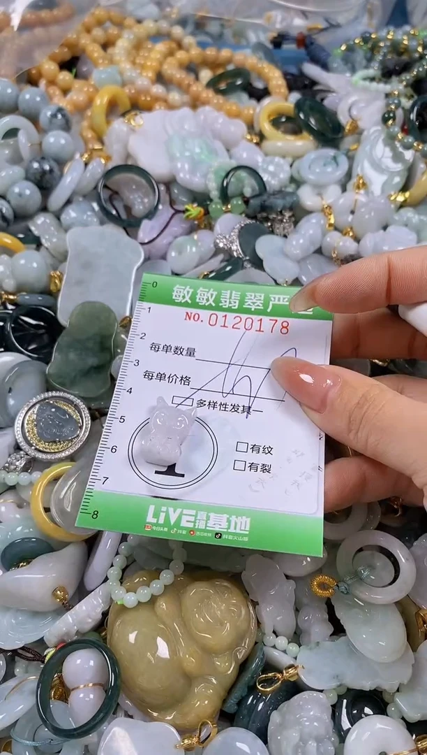 【闪购商品】翡翠颈饰未镶嵌闪购0120178