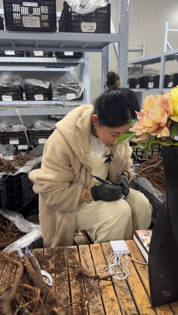 静**景12.8  静观盆景