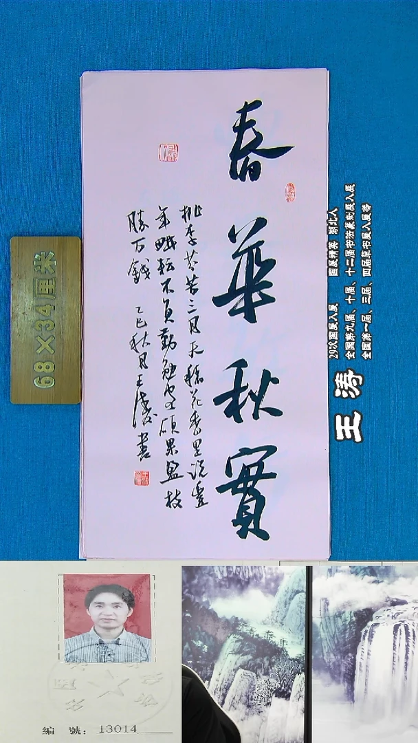 书法63R王涛书法作品
