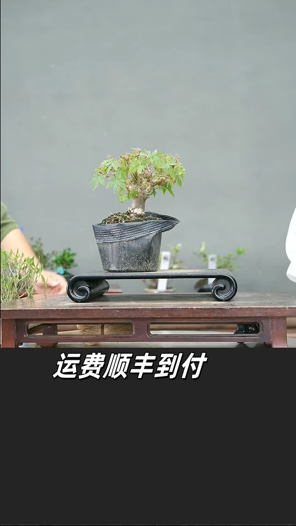 最*瓷48