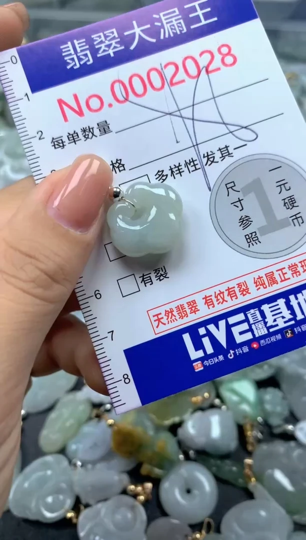 颈饰未镶嵌翡翠2028