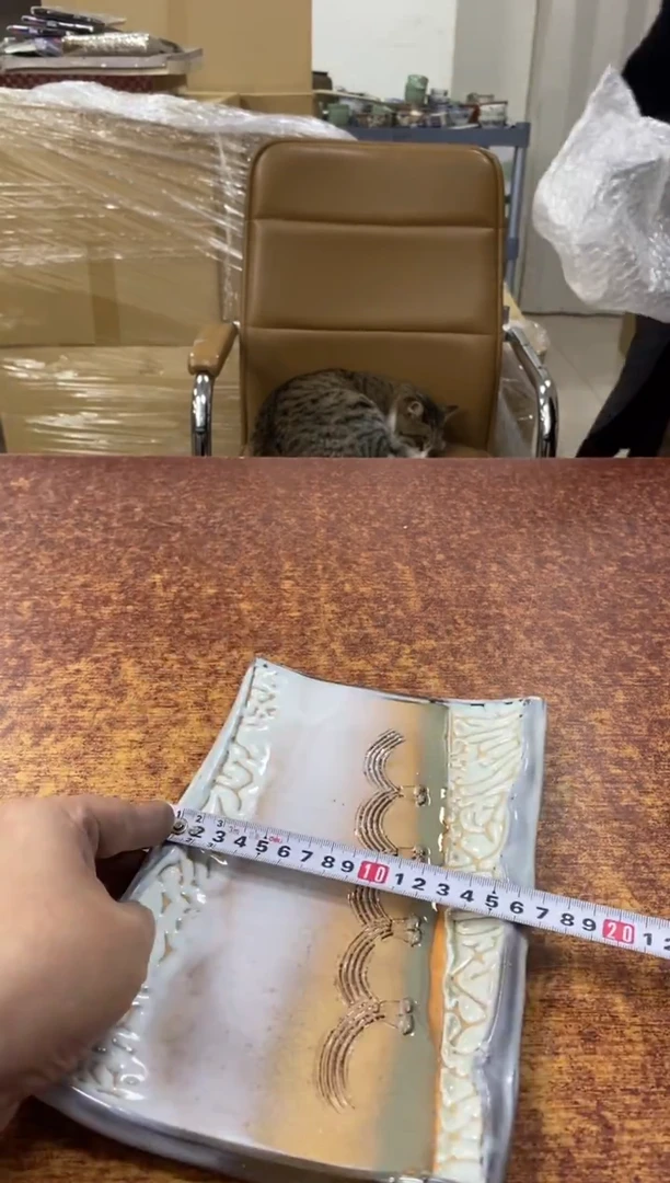 瓷片470小林轩欢迎您