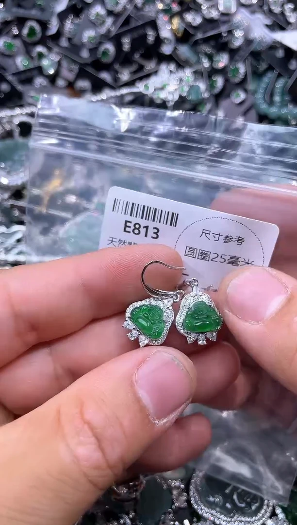 【闪购商品】翡翠颈饰未镶嵌E813耳钩