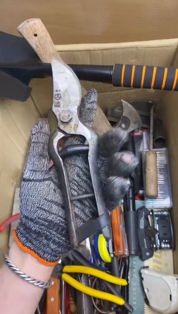 姚*纬五金园艺农具厨具工具闪购