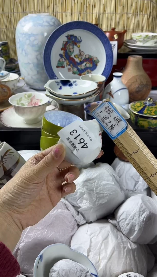 【闪购商品】碟            4613