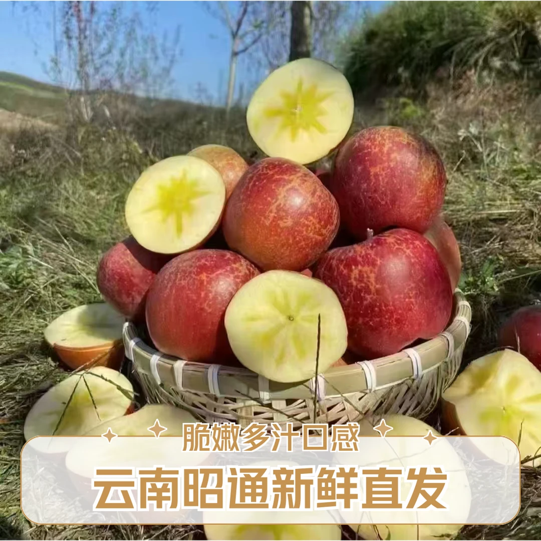 云南昭通冰糖心丑苹果新鲜采摘产地直发孕妇老人小孩皆宜