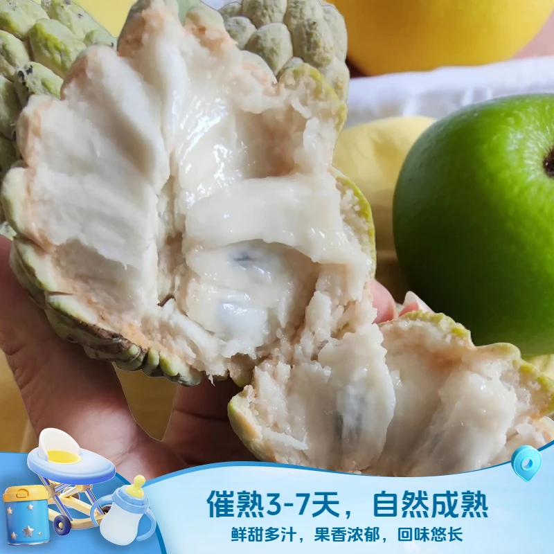 地出臻鲜海南新鲜应季大目释迦果番荔枝空运热带水果