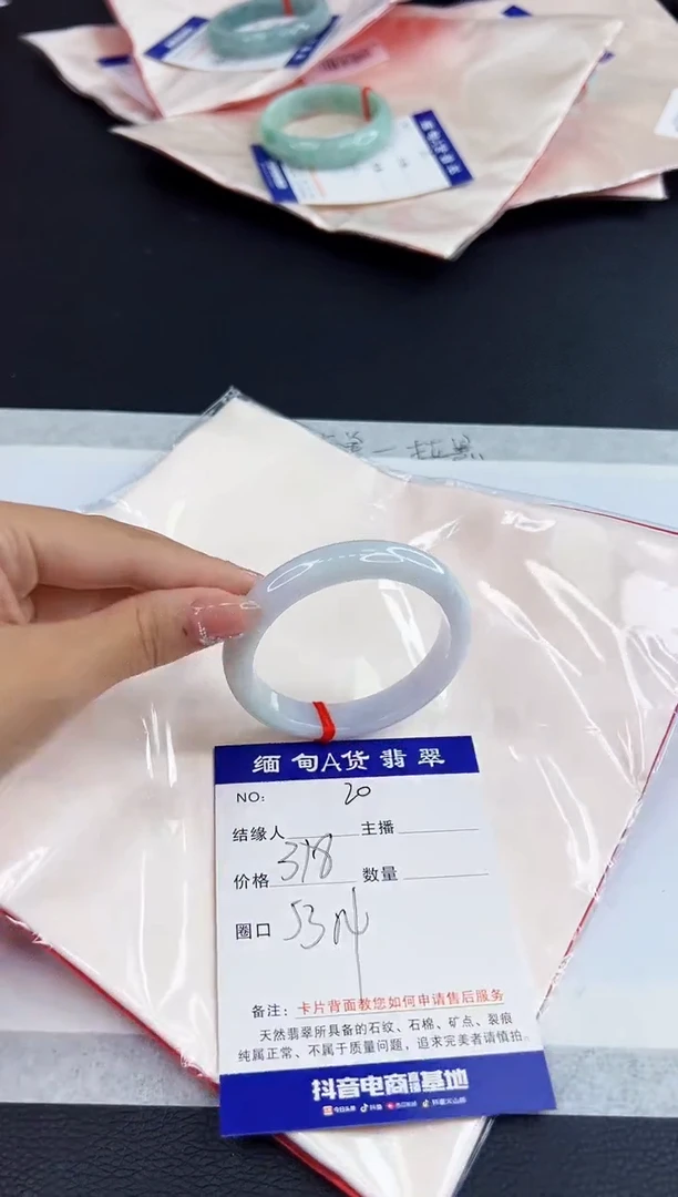 未镶嵌手镯翡翠11111