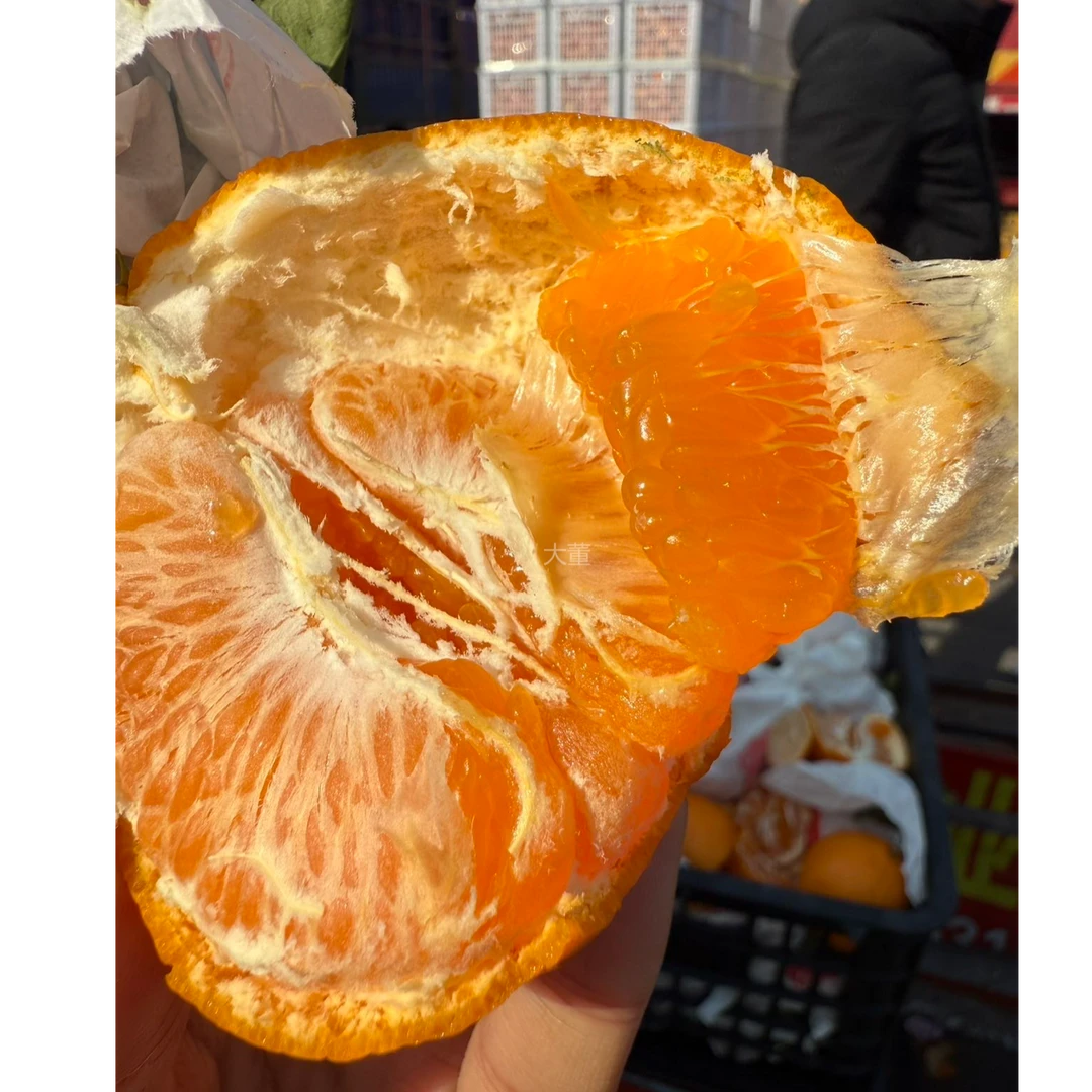 顺丰【大-董】耙耙柑 中大果