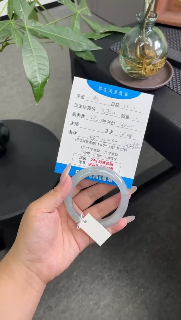 未镶嵌手镯翡翠吃**喝手镯分单1