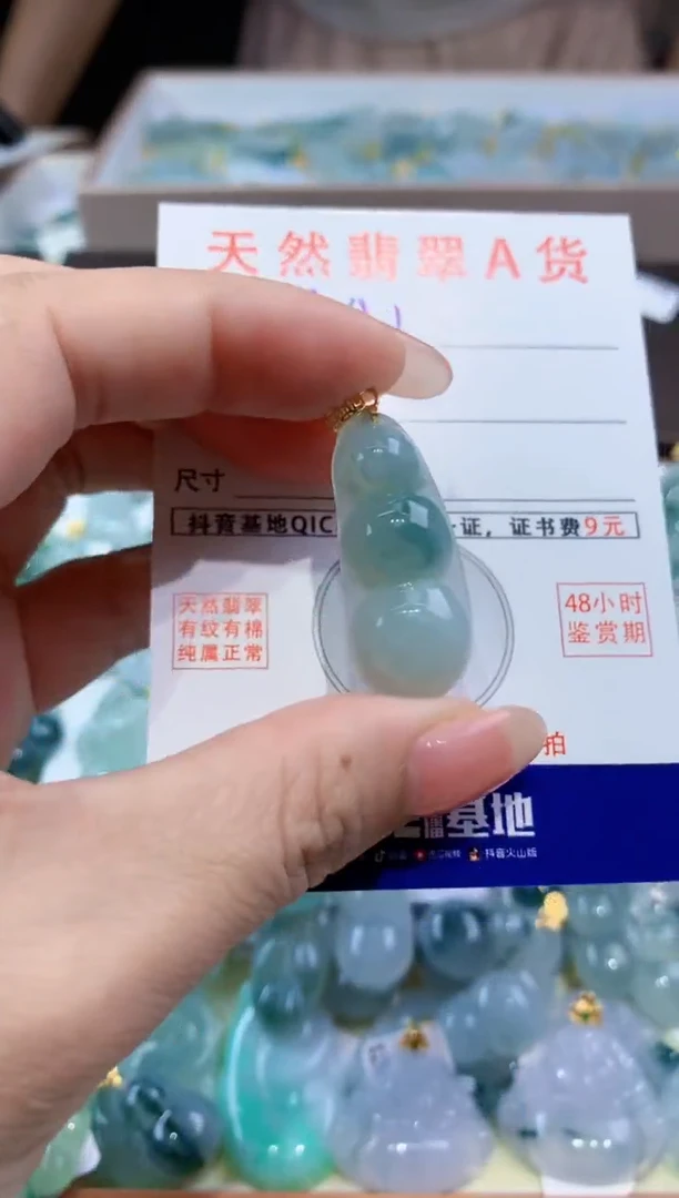 颈饰未镶嵌翡翠天然翡翠A货挂件