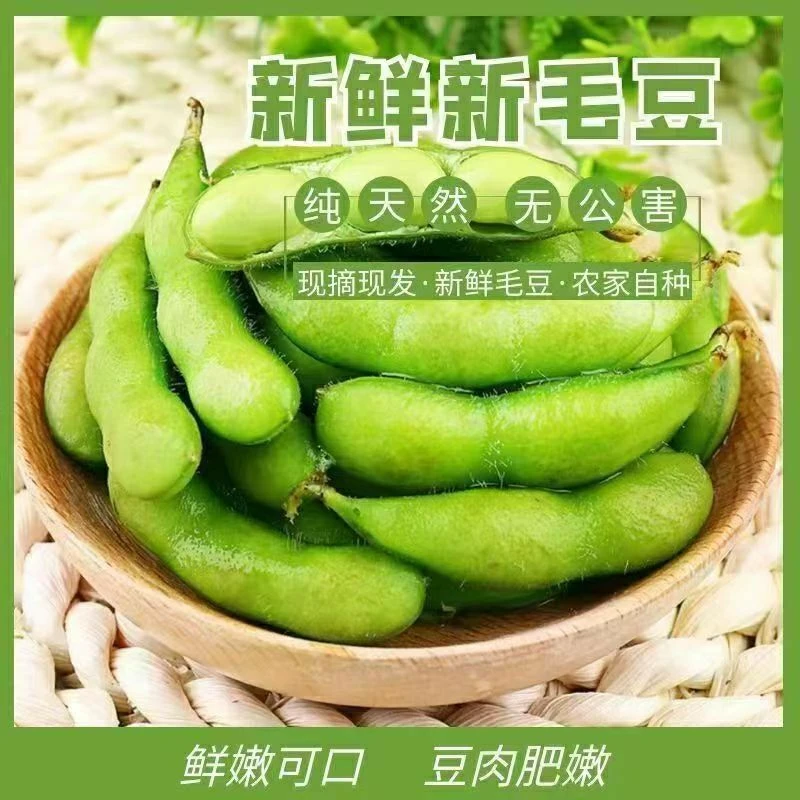 【顺丰】新鲜毛豆带壳鲜毛豆批发现摘现发新鲜发货新鲜蔬菜毛豆荚