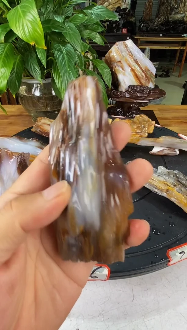 硅化玉珠宝奇石未镶嵌1