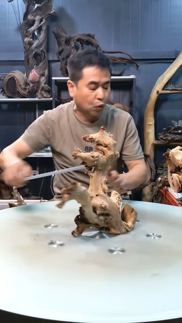 669清香阁清香阁清香阁