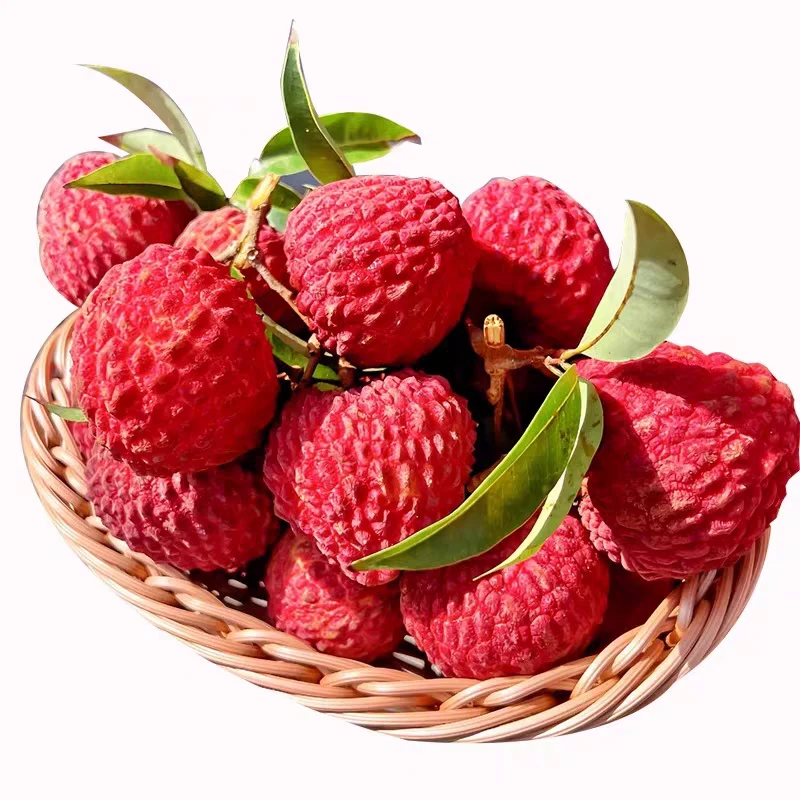 荔枝王 约500g/份海南省