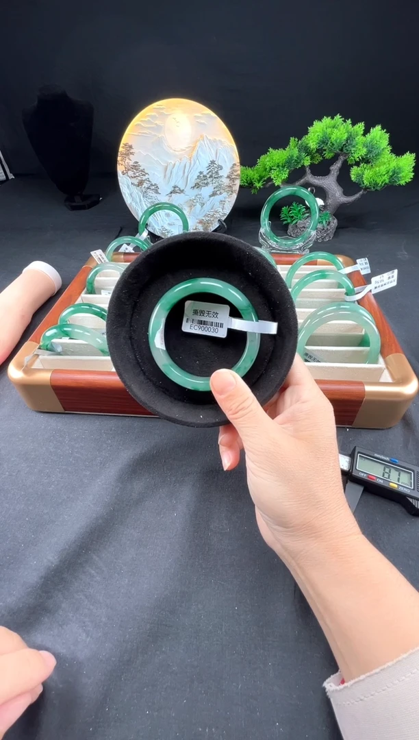 未镶嵌手镯石英质玉（非洲翠）真品上等纯天然非洲翠玉手镯石英质玉