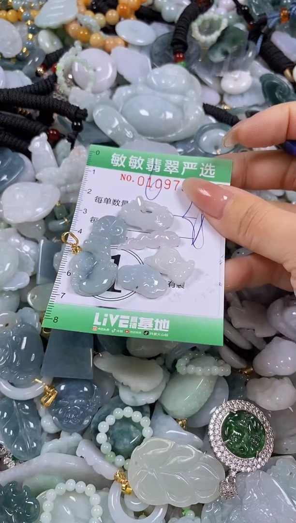 【闪购商品】翡翠颈饰未镶嵌闪购0109791