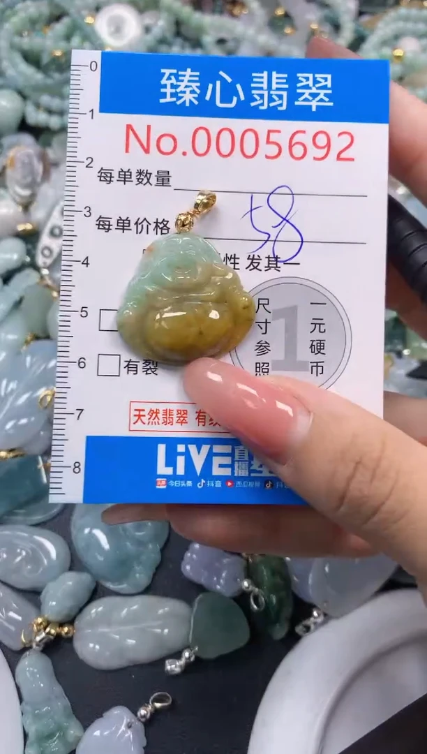 翡翠未镶嵌颈饰5692