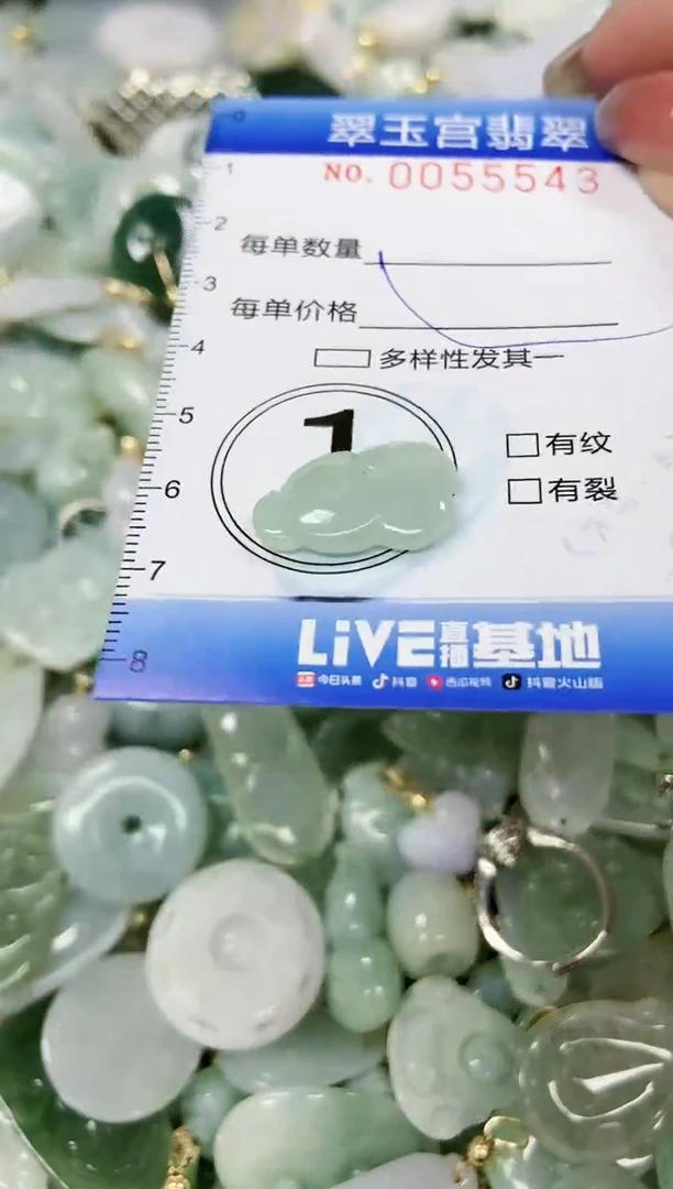 【闪购商品】翡翠颈饰未镶嵌闪购0055543