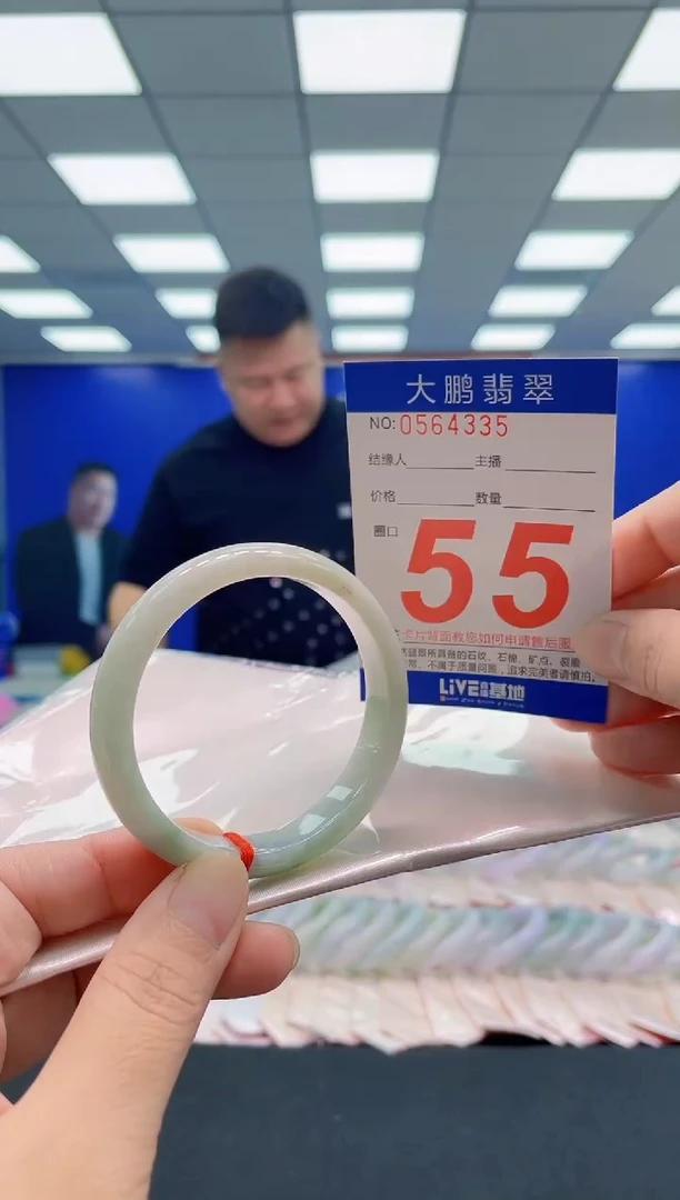 未镶嵌手镯翡翠AAAAAAAAA