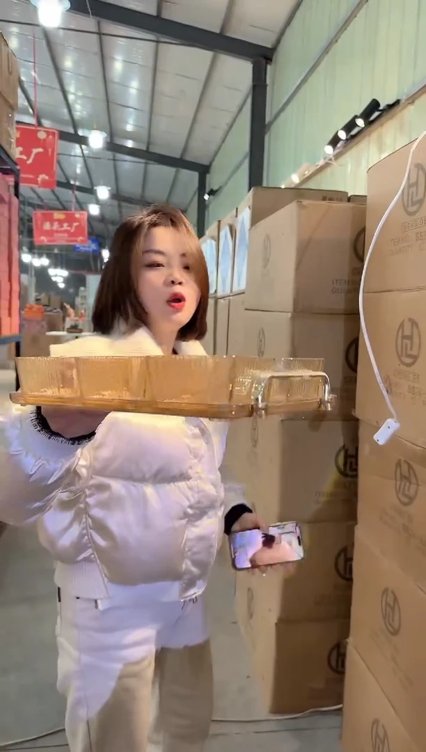 迪之喜花瓶摆件L-早3