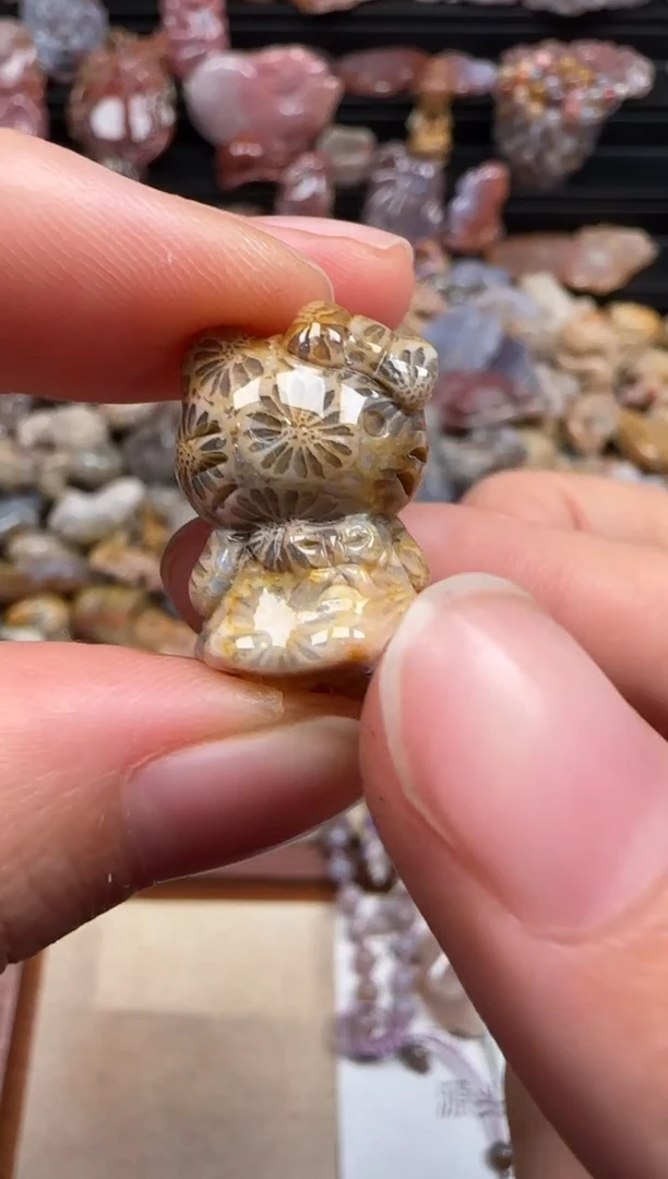 【闪购商品】硅化珊瑚（珊瑚玉）颈饰未镶嵌527