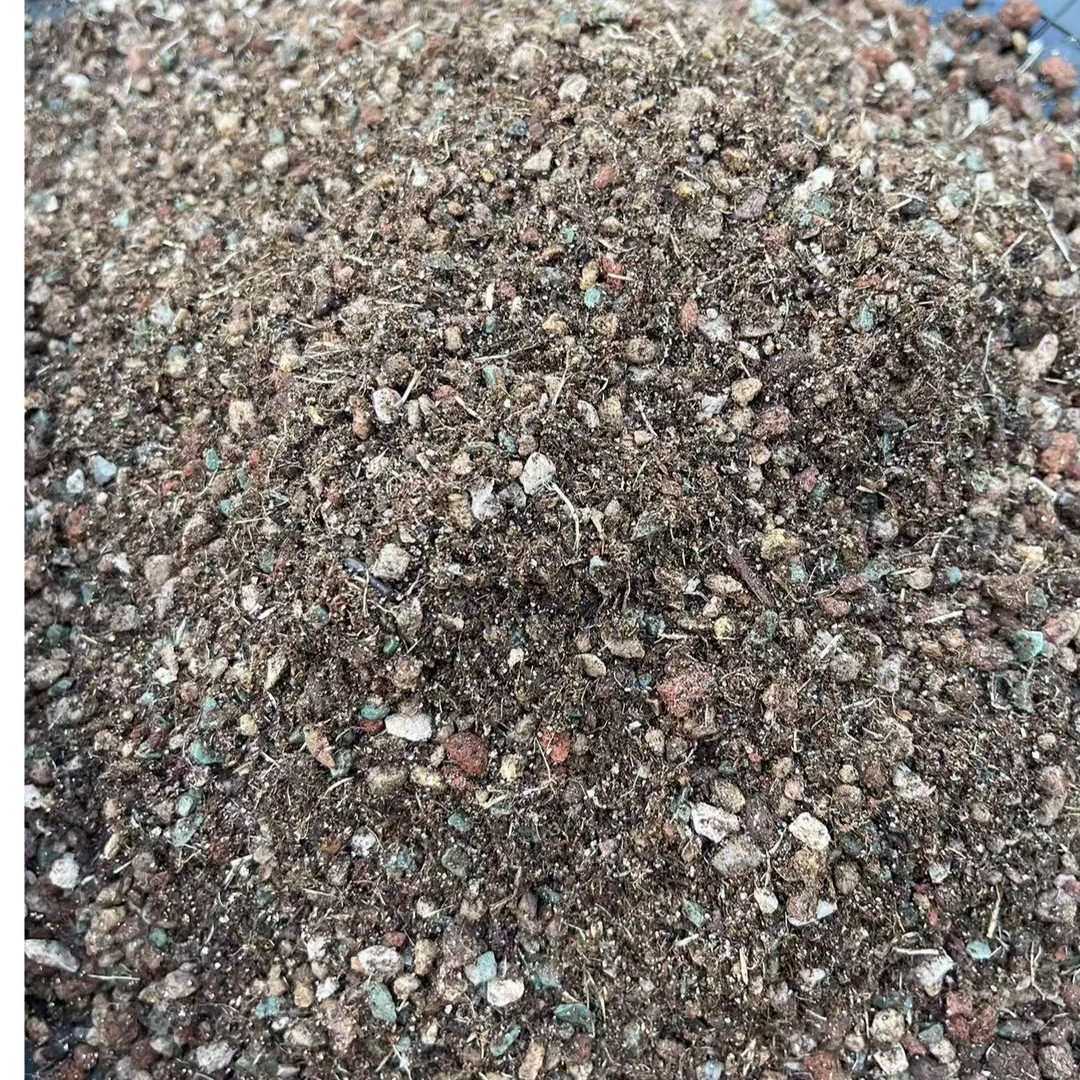 屿安多肉，主播亲自调配70%颗粒土控型上色疏松透气促进发根