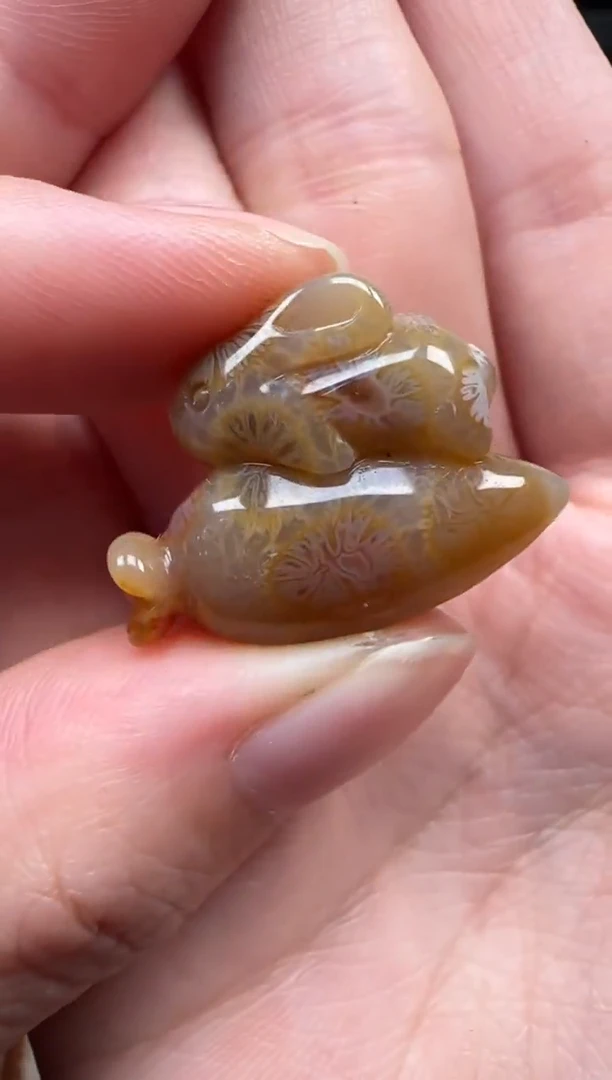 颈饰未镶嵌硅化珊瑚（珊瑚玉）389