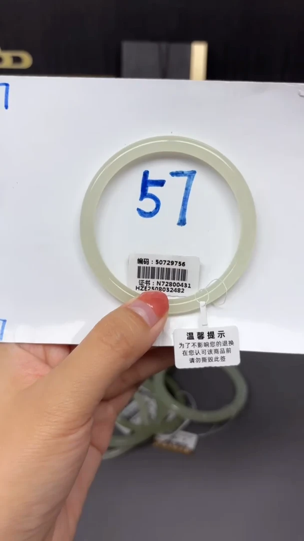 未镶嵌手镯和田玉9756