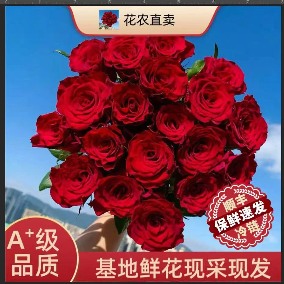 顺丰包邮【高原红基地直播现场卖花】低价福利当天新鲜采摘发货
