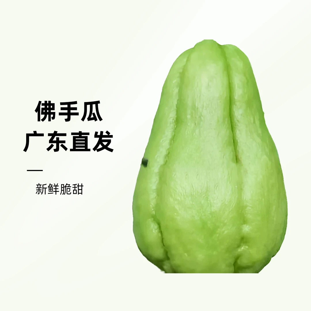广东直发佛手瓜约500g绿色蔬菜