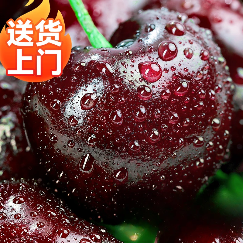 f智利车厘子新鲜水果800g礼盒装进口大樱桃4JJJJ内附果径卡海运