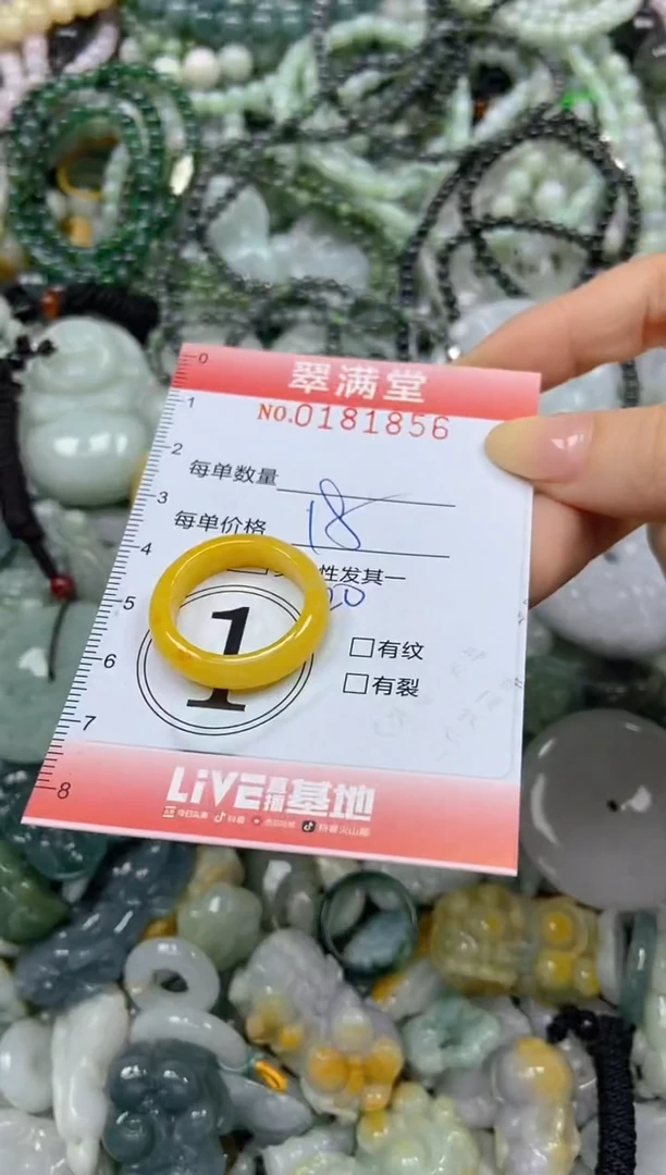 颈饰未镶嵌翡翠闪购0181856