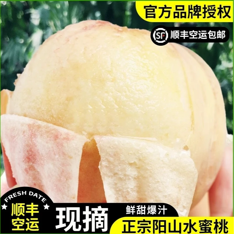 【福利亏500单】正宗无锡阳山水蜜桃日川新鲜自家产现摘现发顺丰当季新鲜水果桃子
