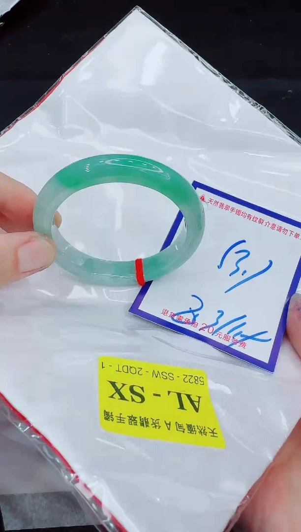 未镶嵌手镯翡翠11111111