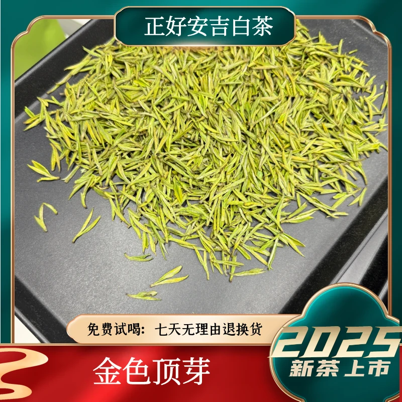 【金色顶芽】2025年安吉白茶溪龙核心产区春季鲜爽回甘春茶纯